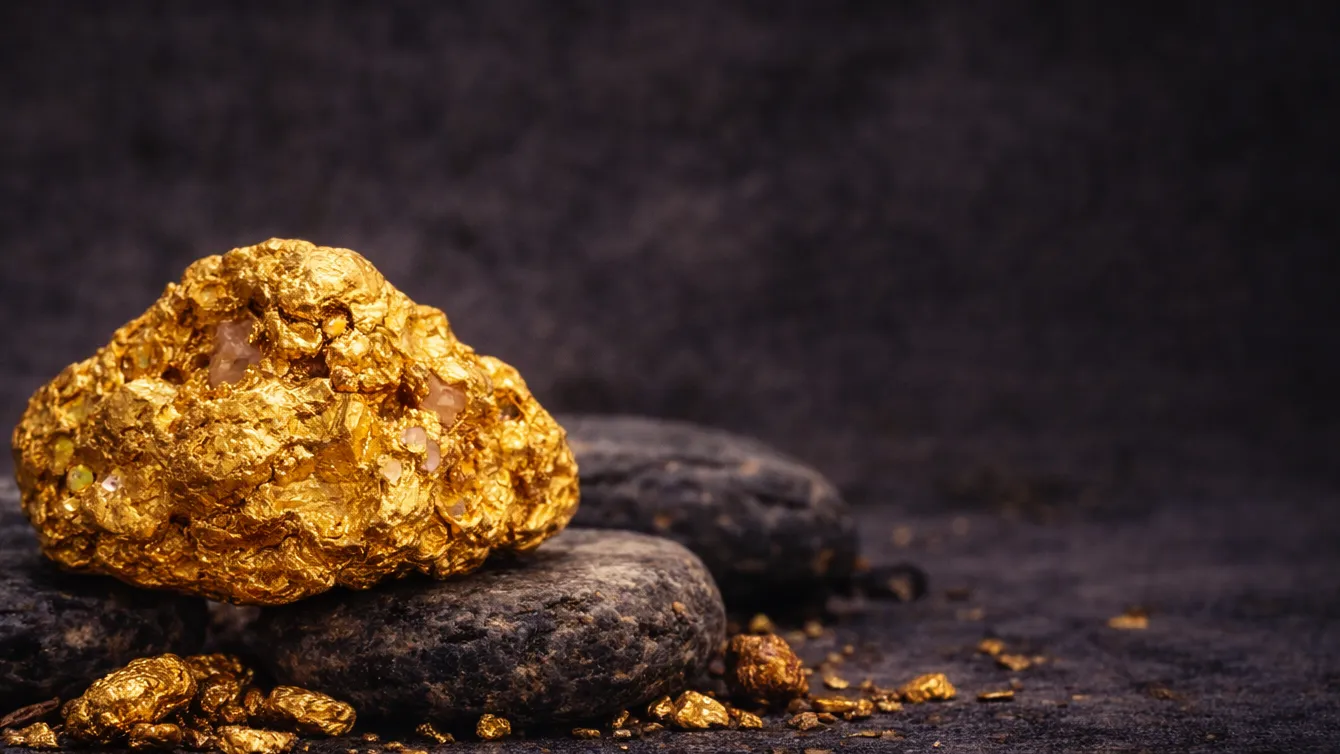 Natural gold nugget on dark stones with gold flakes